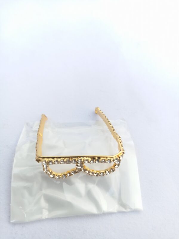 Chasma for Krishna - Image 4